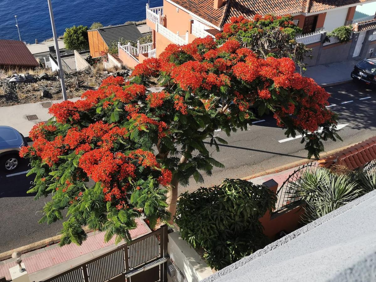 Balcon De Costanera Villa Santa Cruz de Tenerife Buitenkant foto